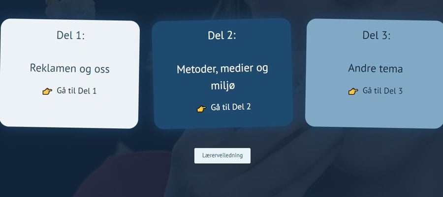 Skjermdump fra Reklameskolen